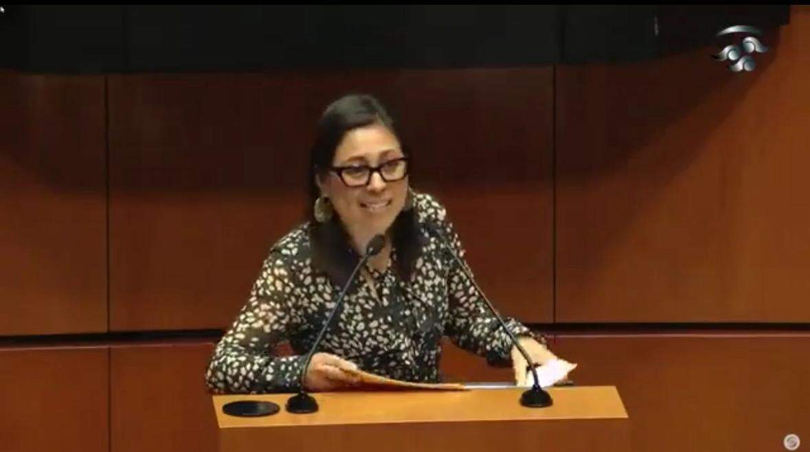 Diputada por Morena, Erika Vanessa Del Castillo