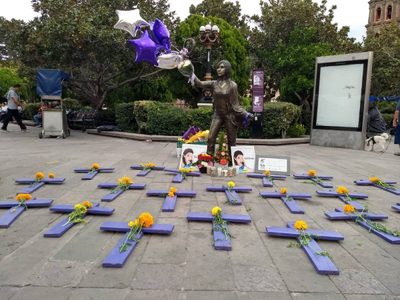 Juez pide a la FGR atraer el caso del feminicidio de Karla Pontigo