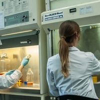 Profesionales del INTA y Senasa trabajarán en diagnóstico del coronavirus