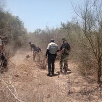 Hallan un  cadáver semienterrado en paraje de Sonora; investigan si se trata de líder yaqui