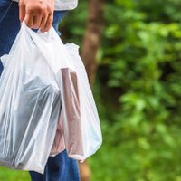 Mantené tu hogar ordenado con este fabuloso truco para guardar tus bolsas del súper