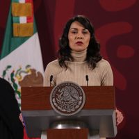 Reforma electoral: García Vilchis tunde a Denise Dresser y Claudio X. González por "decir mentiras"