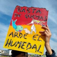 El Delta del Paraná, convertido en un cementerio de animales por los incendios