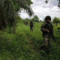EU despliega misión militar en Colombia para asesorar en la lucha contra el narco