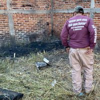 Perro con una pierna humana en el hocico da pista para localizar mega fosa en Irapuato