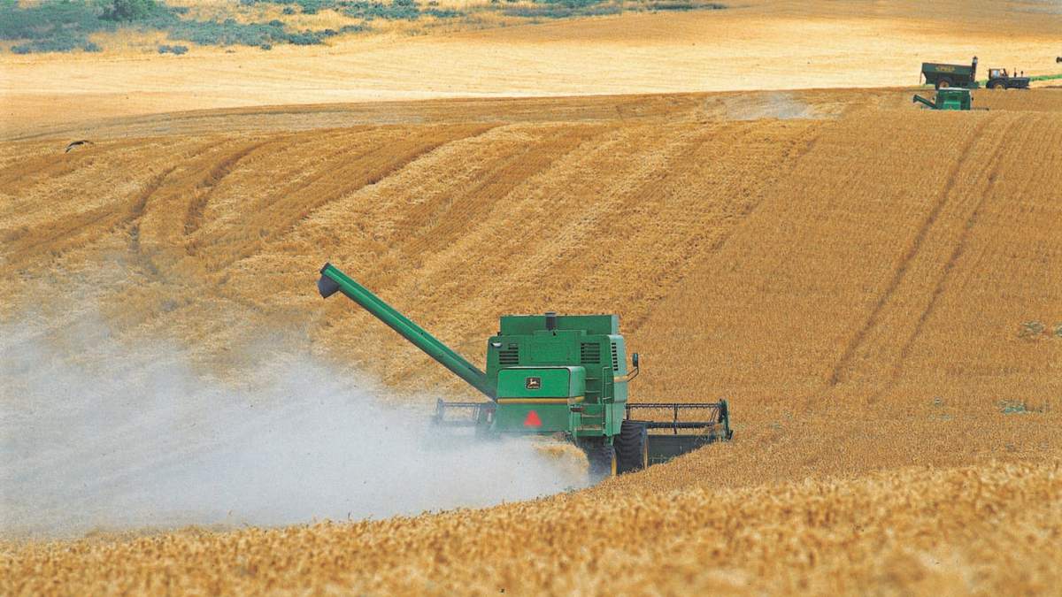 Actividad agropecuaria. Fuente: (Twitter)