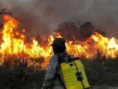 Crecen los incendios forestales en Bolivia y afectan directamente a la región de Argentina