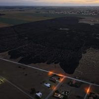 Un incendio forestal arrasó más de 200 hectáreas en Mar del Plata