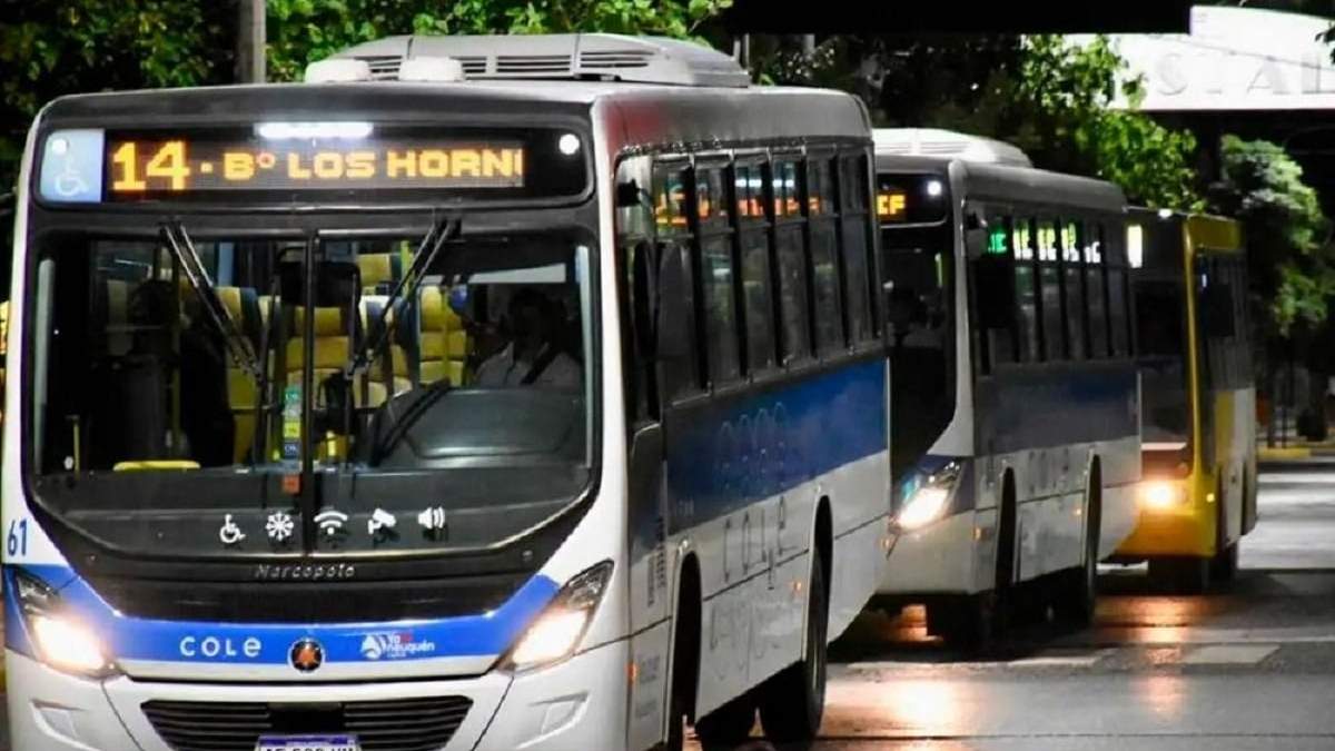 Paro de colectivos. Fuente: (Facebook)