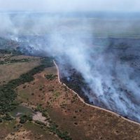 Alivio para los brigadistas: las intensas lluvias en Corrientes aplacaron los incendios