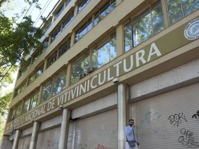Los incalculables costos de desmantelar el Estado