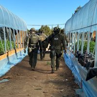 La DEA anuncia que sus operaciones y estrategias en el extranjero serán sometidas a revisión