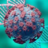Coronavirus en Río Negro: qué dice el último parte epidemiológico