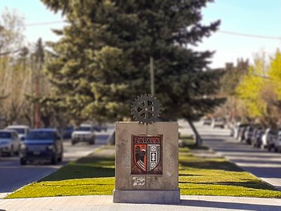 Trabajadores municipales de Zapala sufrieron un accidente mientras cortaban árboles