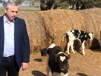 Una asociación rural bonaerense tildó de "imprudente" el posible aumento a las retenciones