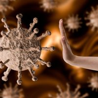 Combatir el coronavirus en Neuquén: las recomendaciones de expertos