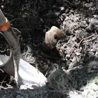 Hallan fosa clandestina en Guanajuato; Fiscalía recupera 17 cuerpos