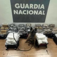 Abandonan maletas con más de 250 kilos de droga en el Aeropuerto Internacional de Tijuana