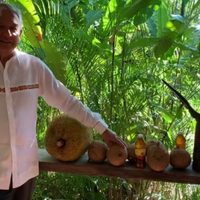 López Obrador acudirá a Campeche y Quintana Roo