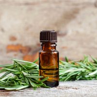 Chau a los shampoos caros: hacé este preparado para que tu pelo no se caiga más y crezca rápido