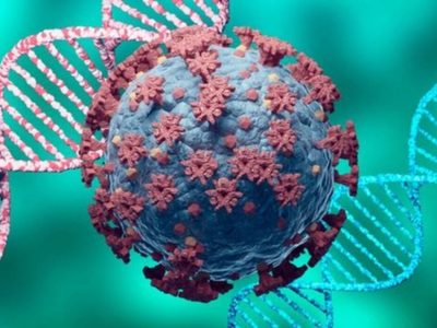 Alerta coronavirus: detectaron la cepa Manaos en una localidad rionegrina