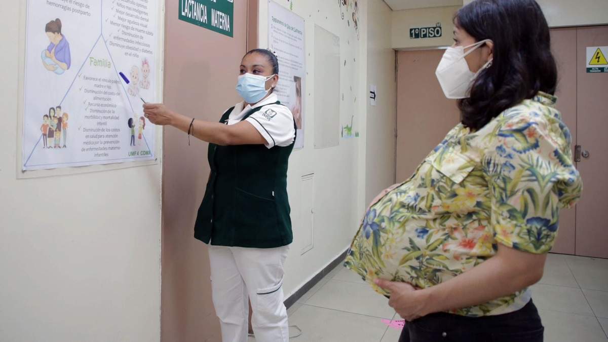 Embarazo. Vigilancia médica