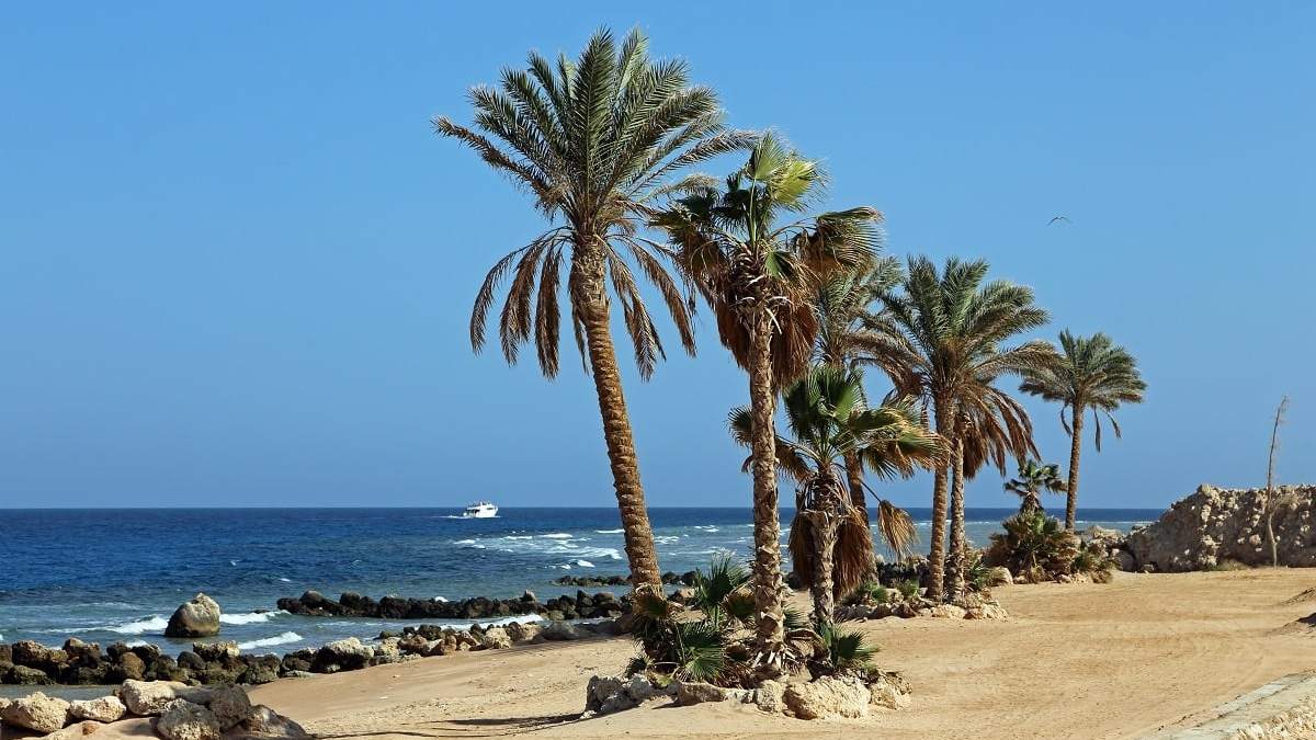 Egipto. Fuente: (Twitter)