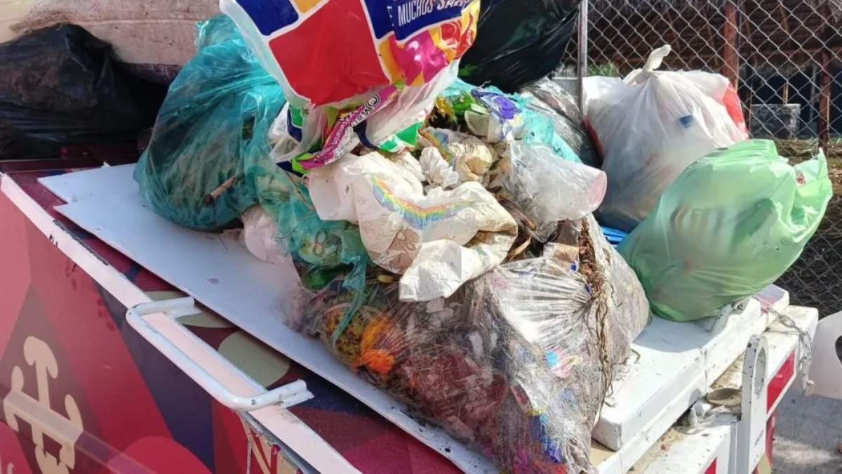 Hallaron carne podrida en un contenedor. Fuente: (Noticia NQN)
