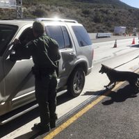 ¿Cómo llega el fentanilo a Estados Unidos? Esto es lo que hay que saber