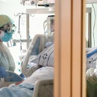 Argentina padece otro pico de muertes por coronavirus: el total de víctimas fatales trepó a 260