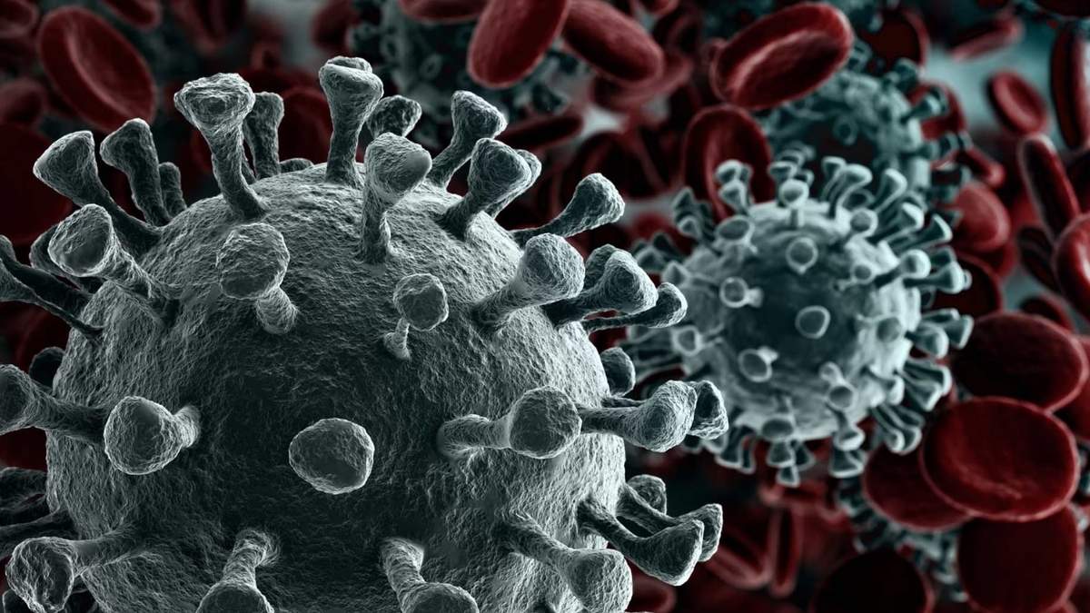 Coronavirus. Fuente: (Twitter)