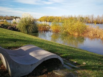 Clima en Neuquén: tiempo bueno en el cierre de la semana