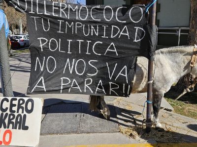 Sin respuestas, el criancero de Añelo volvió a Casa de Gobierno por el conflicto que mantiene con un ex ministro