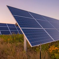 “Apostamos a la energía limpia”: avanza el parque solar de Neuquén Capital