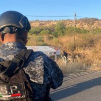 Descubren narcocampamento en Tepetongo, Zacatecas