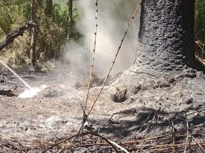 Extinguieron un incendio provocado por un rayo en el Parque Nacional Lanín