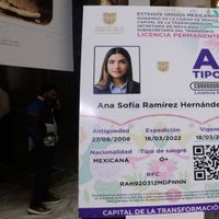 Qué se sabe oficialmente sobre la licencia permanente en CDMX rumbo a 2026