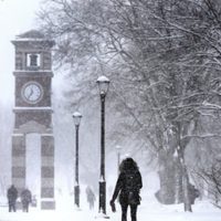 Rector de universidad en Wisconsin afirma que fue despedido por grabar videos porno