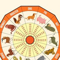 Horóscopo chino: qué signos se llevan mejor entre sí y son buenos amigos