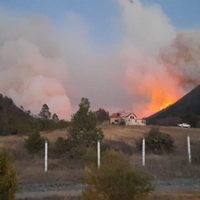 Se desata incendio en Sierra de Arteaga, Coahuila; viento impide que logre ser controlado (Videos)