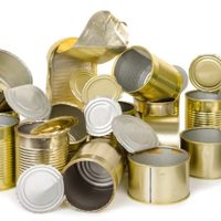 No tires las latas de conservas, mirá cómo podés hacer estas casitas deco para tus plantas o como souvenir