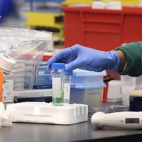 La vacuna BCG reduce la tasa de mortalidad por coronavirus y podría combatirlo