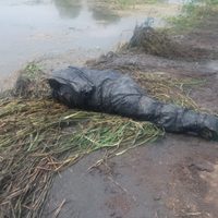 Encuentran al menos siete cadáveres en canal de aguas pluviales de Jalisco