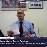 'La nueva normalidad”, un ensayo
