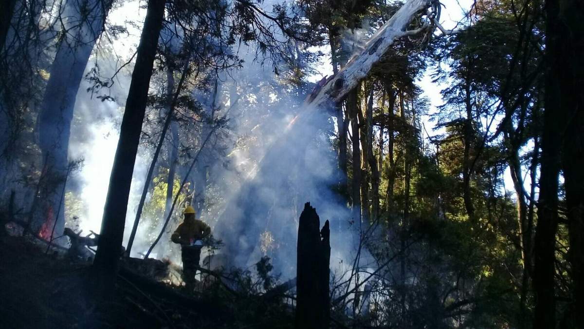 Incendios en la Patagonia. Fuente: (Twitter)