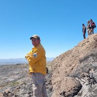 Un incendio afectó más de 500 hectáreas en Cajón de Hualcupén
