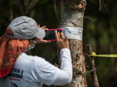 Encinas: Hay dos mil 386 fosas clandestinas y cuatro mil 180 cuerpos exhumados en el país