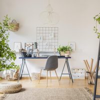 Preparate para los días más soleados: conocé las plantas que reducen la humedad en tu casa gratis