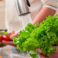 Zapala: Municipalidad presenta curso on-line de manipulación de alimentos
