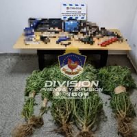 En varios allanamientos secuestraron armas de fuego, herramientas y plantas de marihuana